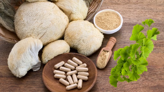 Learn how Ginkgo Biloba and Lion’s Mane mushroom work together to support focus, mood, and mental clarity, naturally. Discover their role in Euno.
