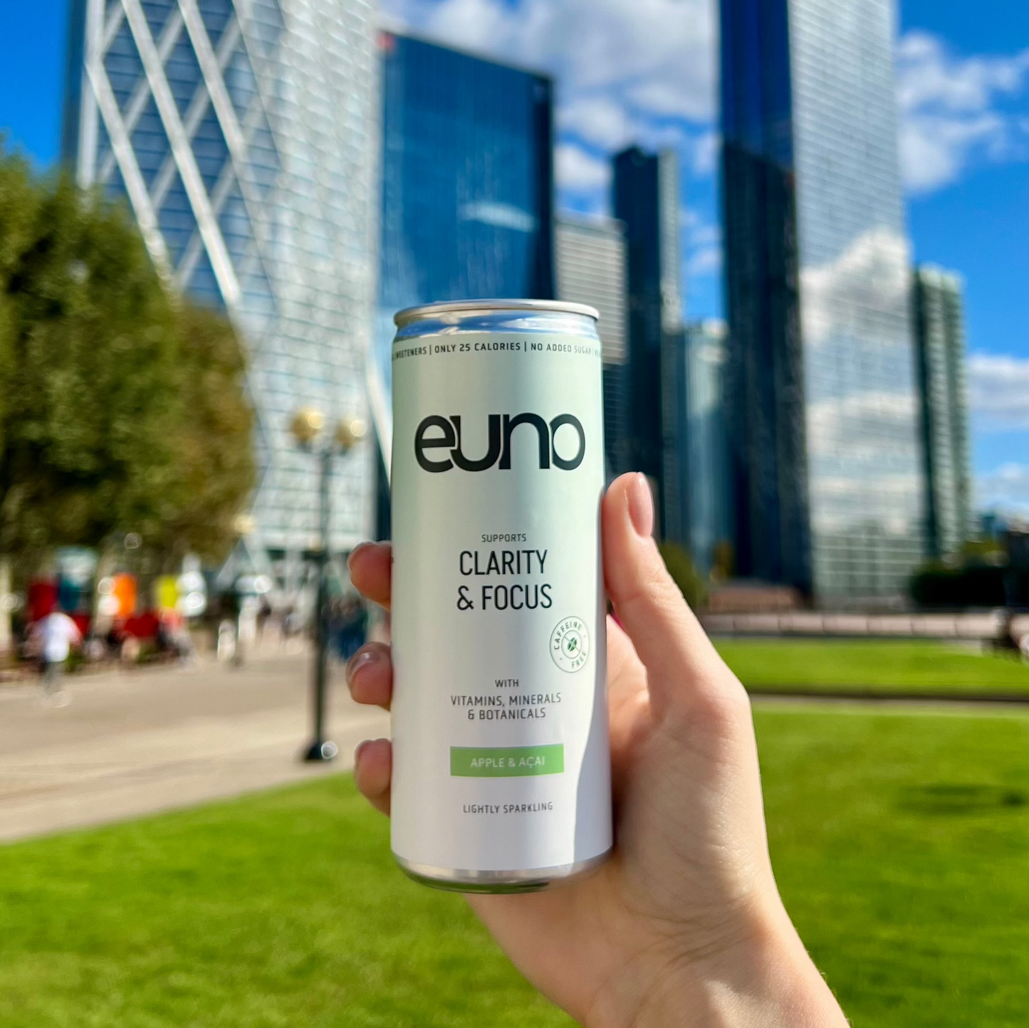 Euno functional drinks combine powerful nootropics and adaptogens like Lion's Mane, Gingko Biloba, Panax Ginseng and Schisandra, together with Zinc, Magnesium, and Vitamins B6 & B12, to deliver improved focus and clear mind.